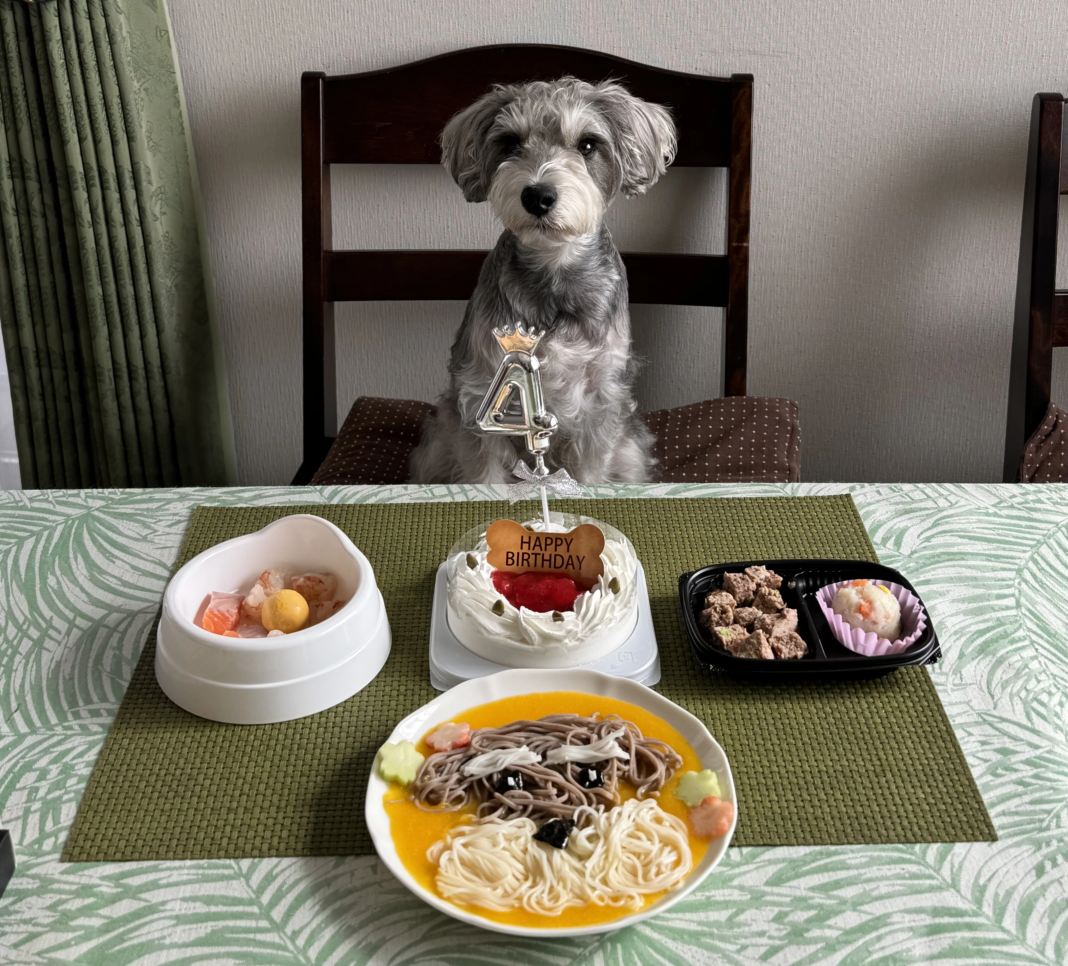 A happy dog's meal made with safe, dog-friendly foods